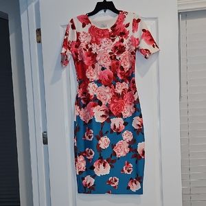 EnFocus Studio Floral Pink and Blue Dress. Women's Size 4